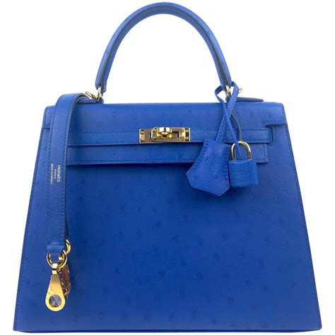 hermes ostrich bleuet